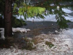 homestead snow & rain